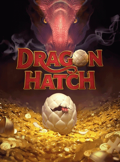 Dragon Tiger live card game cover